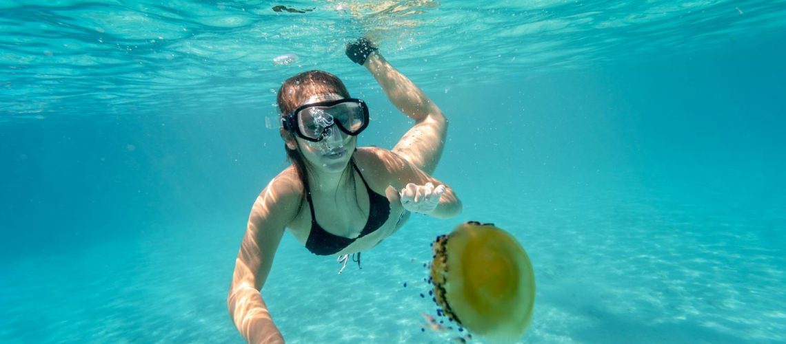 Méduse : que faire en cas de piqûre ?